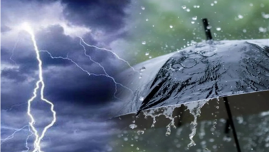 حالة الطقس غدا في مصر 1765883241 0