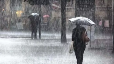 خريطة سقوط الأمطار على المحافظات 1731686288 0