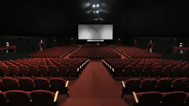 دور العرض المصرية