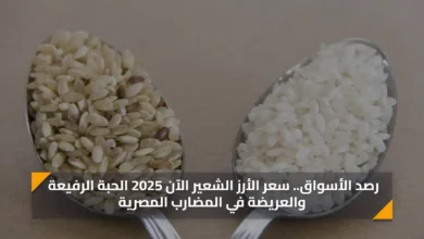 رصد الأسواق سعر الأرز الشعير الآن 2025 الحبة الر.webp