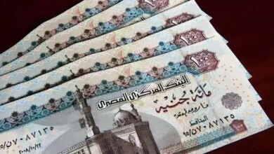 زيادة المعاشات 2026 1764591993 0