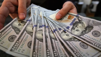 سعر الدولار في مصر 1763354833 0