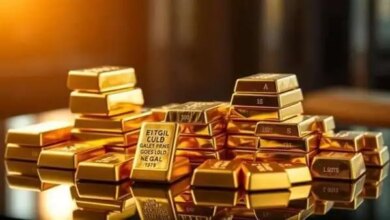 سعر سبيكة الذهب اليوم 1765980014 0