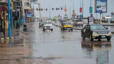 شبورة وأمطار 1737958802 0