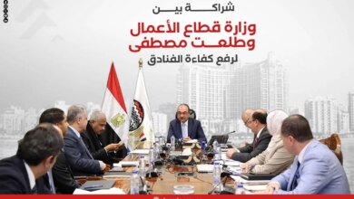 شراكة بين وزارة قطاع الأعمال وطلعت مصطفى 1766951043 1