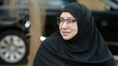 عبلة كامل 1761734341 0