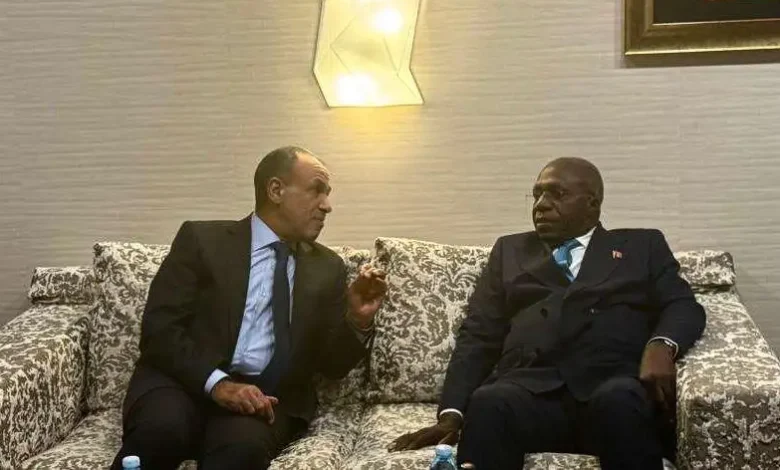 وزير الخارجية يبحث مع نظيره الأنجولي القضايا الإقليمية والدولية محل الاهتمام المشترك 1765522679 0.jp e1765536262360