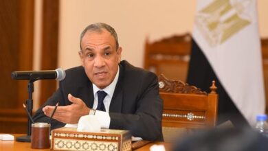 وزير الخارجية: اجتماع تعزيز جهود السلام في السودان جاء بتوجيهات الرئيس السيسي