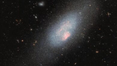196 132932 2025 big dipper illuminates sky giant stars 700x400