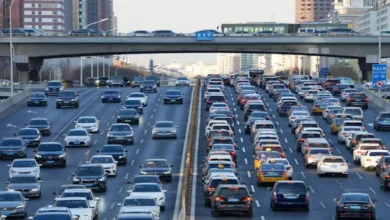 2026 1 1 11 12 43 557.webp