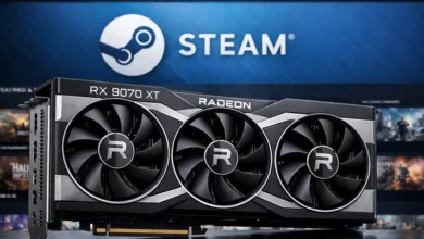 6959335e6fa09.rx 9070 steam encuesta hardware.jpgmain6959335e73776.webp