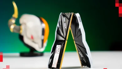 6967d4c0af35c.xpg ram.pngmain6967d4c0b5951.webp