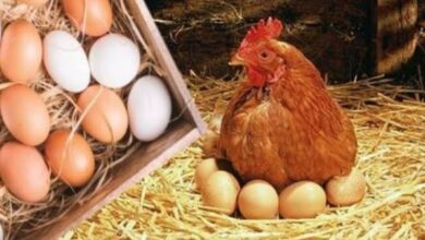 730770149900202510020111501150