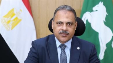 محافظ الشرقية يصدر قرارا بإعادة تنظيم وتوزيع العمل برئاسة مركز أبو حماد