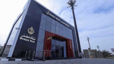 807166294019720251002050657657