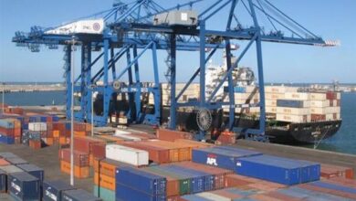 ميناء دمياط يشهد نشاطا ملحوظا في حركة السفن والبضائع اليوم الأربعاء