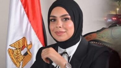 839173872928202601310648334833