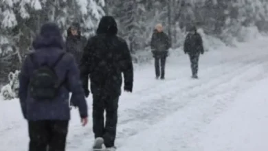 D8AAD8ADD8AA D8A7D984D8B5D981D8B1 D8A8D980 13 D8AFD8B1D8ACD8A9 baca560c