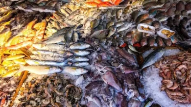 D8AAD8ADD8AFD98AD8ABD8A7D8AA D8A7D984D8A3D8B3D8B9D8A7D8B1 1758fb3a 1200