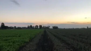 D8AAD982D988D98AD985 D8A7D984D8B4D8AAD8A7D8A1 ab61f722 1200.webp