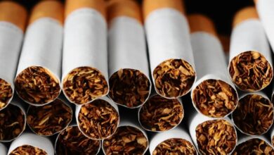 D8B3D8ACD8A7D8A6D8B1