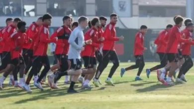 D8B5D981D982D8A9 D8B4D8AAD988D98AD8A9 D985D8B1D8AAD982D8A8D8A9 7ac4da3