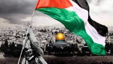 D985D8A7 D8AAD981D8B3D98AD8B1 D8B1D8A4D98AD8A9 D8BAD8B2D8A9 D981D98A