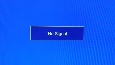 maxresdefault 281229