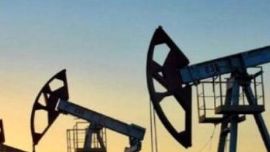 medium 2026 01 04 026e24066c