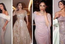 whatsapp image 2026 01 17 at 8.00.24 pm