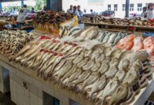 أسعار الأسماك 1763439590 0