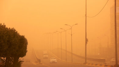 العاصفة في مصر