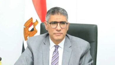 المهندس عادل النجار محافظ الجيزة 1733644911 0