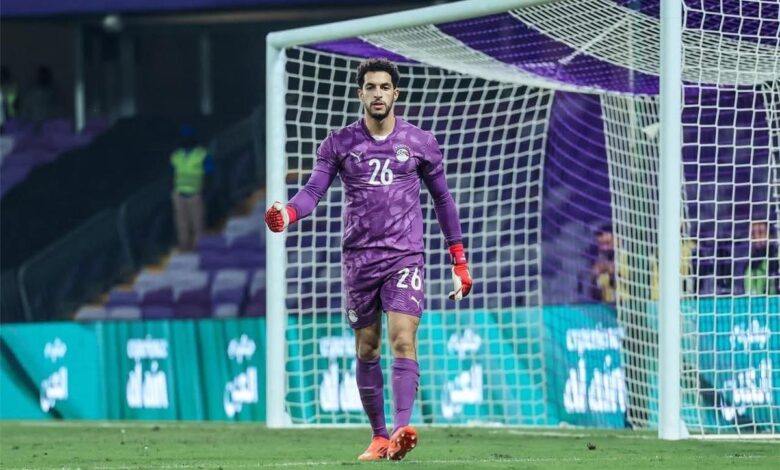 مصطفى شوبير