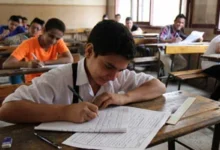 نتيجة الإعدادية 1
