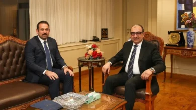 وزارة قطاع الأعمال