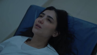 196 233948 the mona lisa series episode 10 2