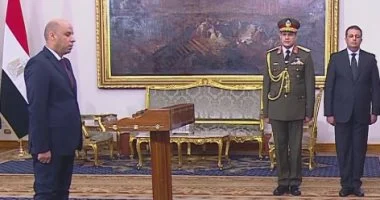 202602110133383338 245