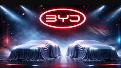 2026 2 4 14 19 57 934.webp