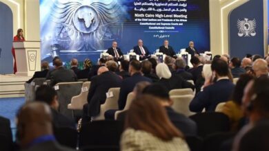 النجار: الازدهار الحقيقي لمصر يتحقق  بالتكامل مع أفريقيا