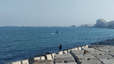 4585116 طقس الاسكندرية اول ايام شهر طوبة