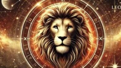 580700621306202501161220552055