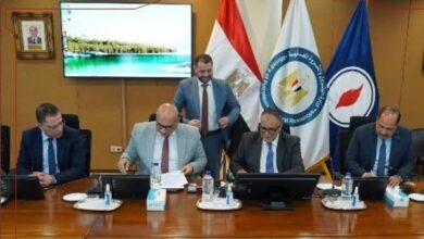 724843194497202602071146464646