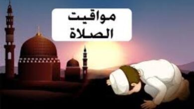 8071662940197202602180138223822