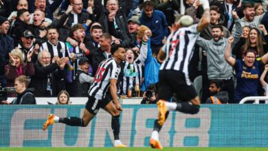 مباراة توتنهام ونيوكاسل