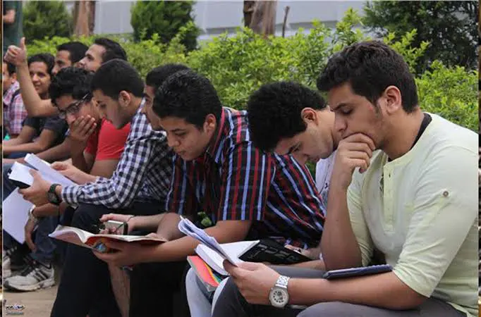 IMG 1214.webp