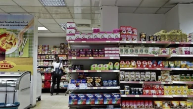 Mideast Egypt Economy Horo 3 1024x640 1