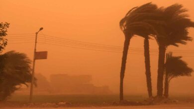 WhatsApp Image 2026 02 13 at 4.01.38 PM