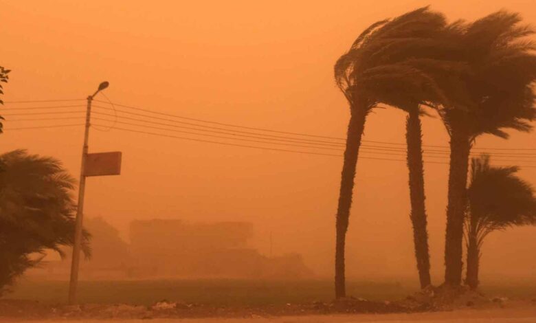 WhatsApp Image 2026 02 13 at 4.01.38 PM