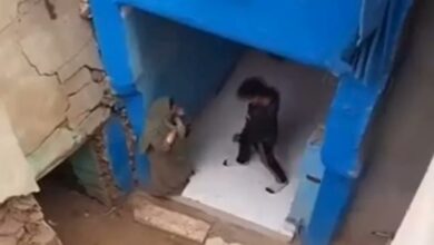 WhatsApp Image 2026 02 13 at 4.27.13 PM